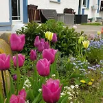 Maison d'hôtes Wiese 3*
