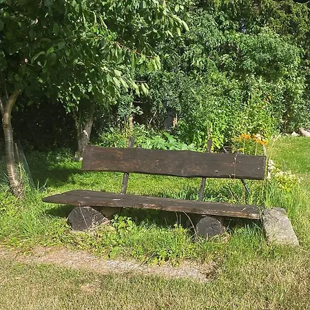 Wiese 게스트하우스 3*