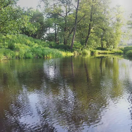 Wiese 3*
