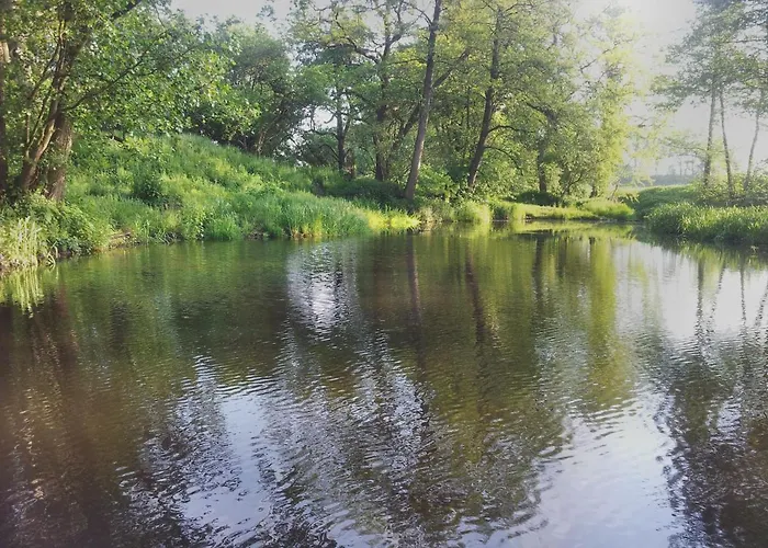 Wiese 3*